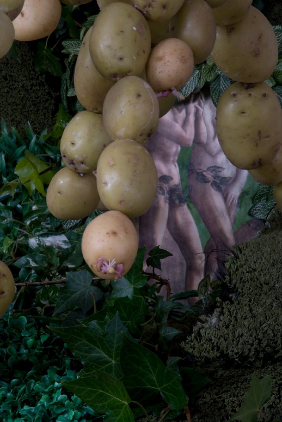 The Potato Days (Masaccio)