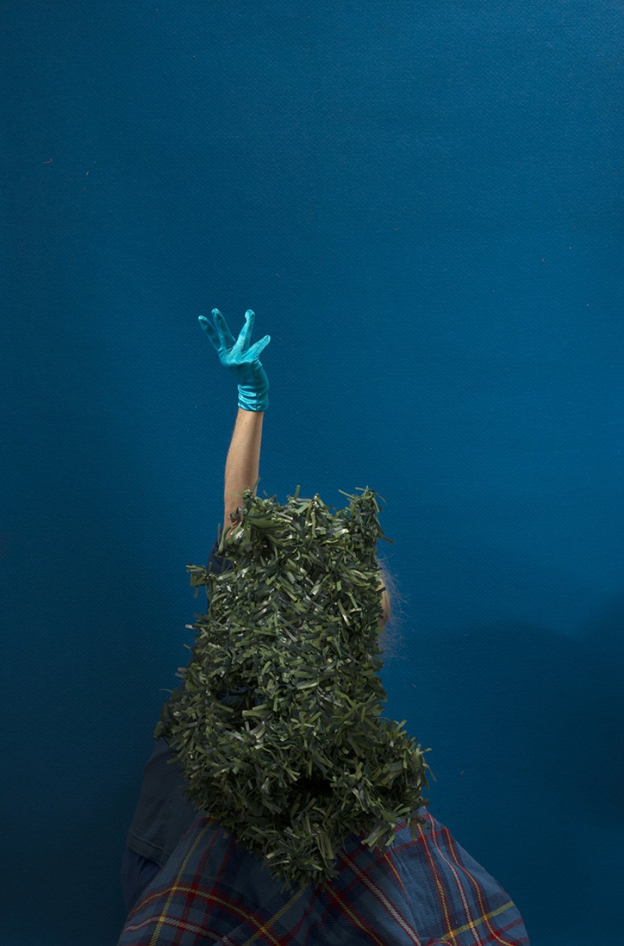 To Be a Gesticulating Bush